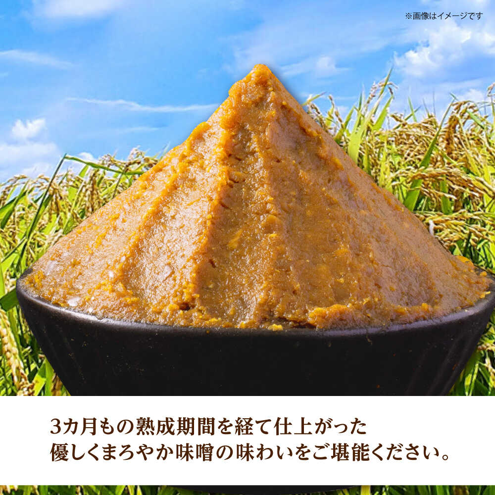 【ふるさと納税】米味噌 2kg(1kg×2個) 【だいちの家】[HAG037] サムネイル3