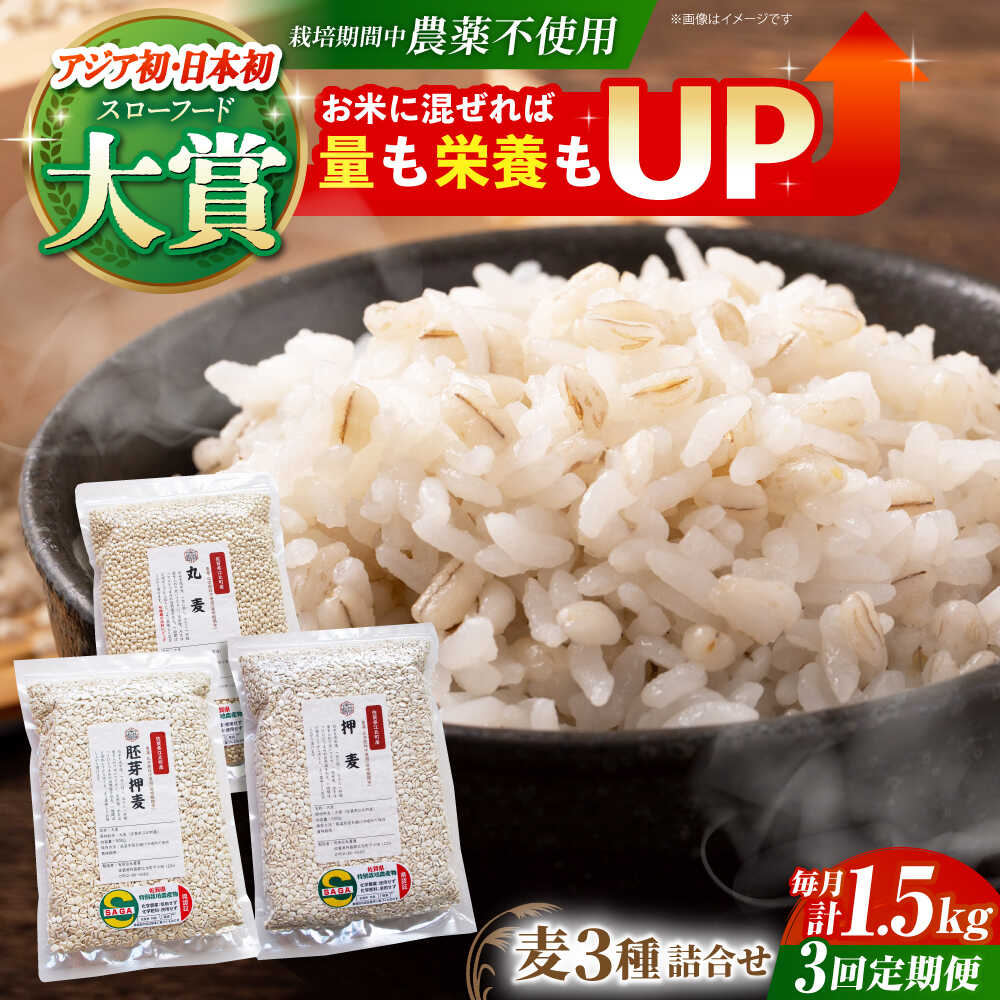 【全3回定期便】麦詰合 1.5kg ( 500g 3種 ) 江北町産 サチホゴールデン 【葦農】 [HAJ031]