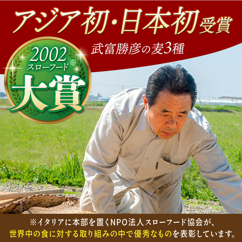 【ふるさと納税】【全12回定期便】胚芽押麦 500g ( 1等麦使用 ) 江北町産 サチホゴールデン 【葦農】 [HAJ036] - 画像2