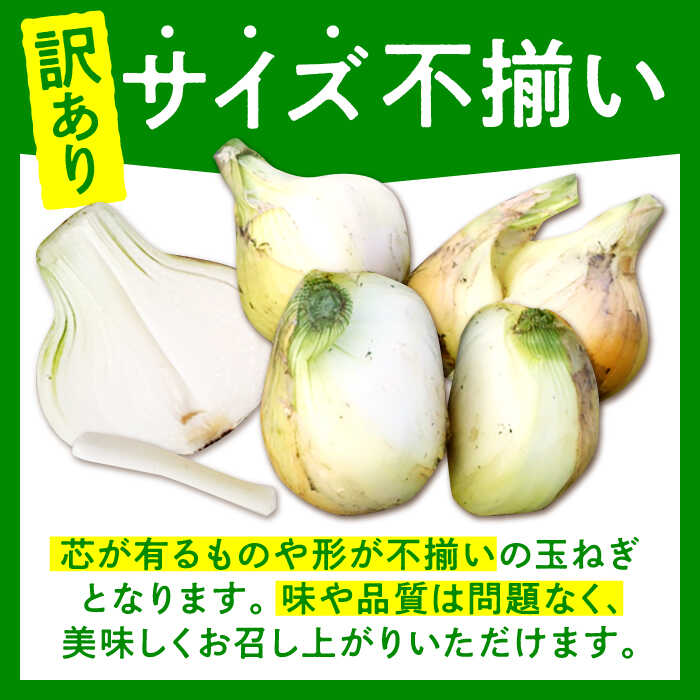 【ふるさと納税】【先行予約】【訳あり】【2026年3月下旬以降発送】佐賀県産 玉ねぎ 10kg【八丁屋】 [HAO007] - 画像2