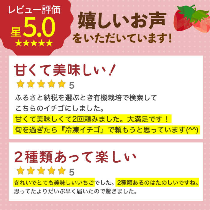 【ふるさと納税】【12〜4月発送】農園直送 いちご「いちごさん・さがほのか」500g（約250g×2パック）【花祭果実】 [HBN003] / いちご 苺 イチゴ 食品 フルーツ 果物 くだもの いちごさん さがほのか ブランド 送料無料 先行予約 佐賀県 江北町 8000 8000円 サムネイル2