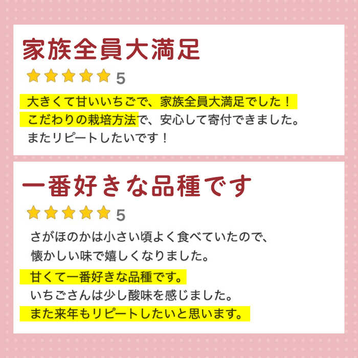 【ふるさと納税】【12〜4月発送】農園直送 いちご「いちごさん・さがほのか」500g（約250g×2パック）【花祭果実】 [HBN003] / いちご 苺 イチゴ 食品 フルーツ 果物 くだもの いちごさん さがほのか ブランド 送料無料 先行予約 佐賀県 江北町 8000 8000円 サムネイル3
