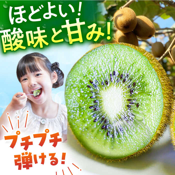 【ふるさと納税】【先行予約】 キウイ キウイフルーツ （ヘイワード）3.6kg / 食品 フルーツ・果物 キウイフルーツ キウイ フルーツ 果物 くだもの 国産 / 佐賀県 江北町【JAさが】 [HBZ001] サムネイル2