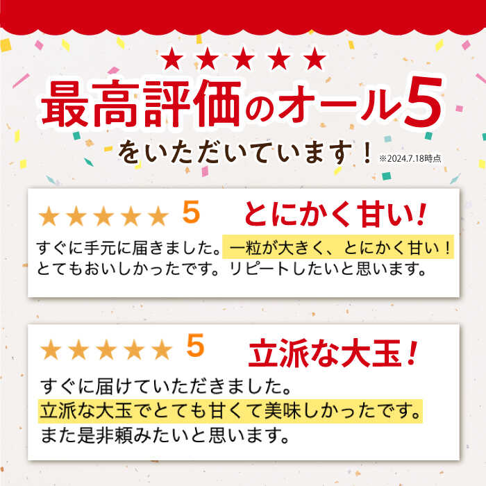 【ふるさと納税】【先行予約】 キウイ キウイフルーツ （ヘイワード）3.6kg / 食品 フルーツ・果物 キウイフルーツ キウイ フルーツ 果物 くだもの 国産 / 佐賀県 江北町【JAさが】 [HBZ001] サムネイル3