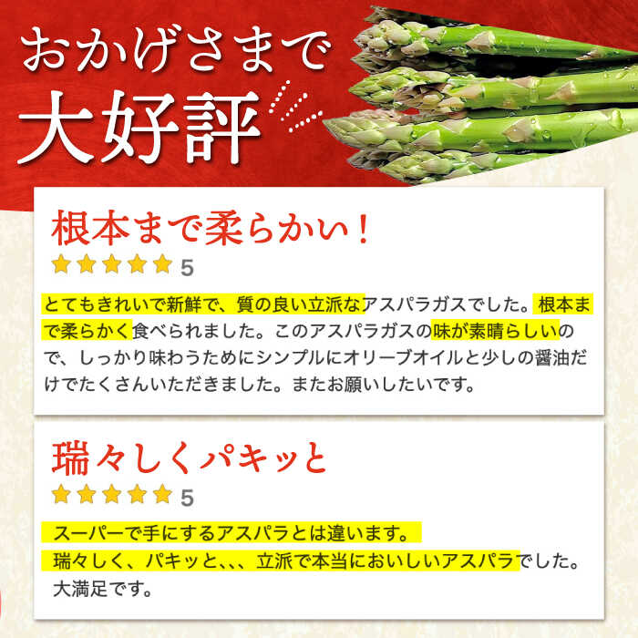 【ふるさと納税】 春芽 アスパラガス 700g【けいちゃん農園】 [HCC005] 野菜 アスパラ アスパラガス 佐賀 サムネイル2