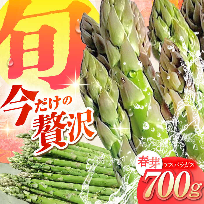 春芽 アスパラガス 700g【けいちゃん農園】 [HCC005] 野菜 アスパラ アスパラガス 佐賀