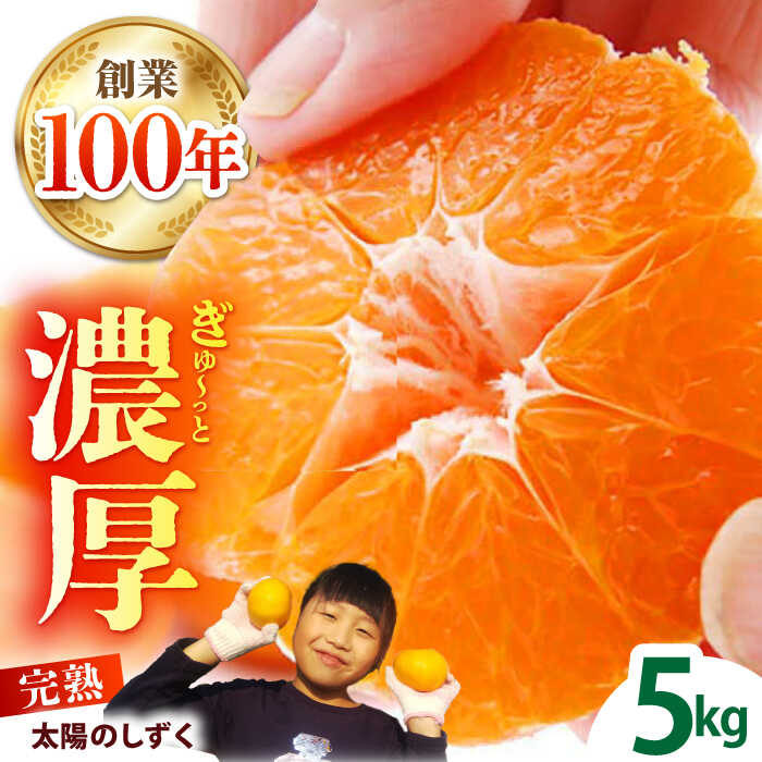 【11月〜12月発送】タッチの甘熟 早生みかん 太陽のしずく 5kg【夢の甘熟みかん タッチ】[HCE001] / 食品 フルーツ・果物 みかん フルーツ 果物 佐賀みかん 温州みかん 佐賀県 佐賀 年内発送 年内 先行予約