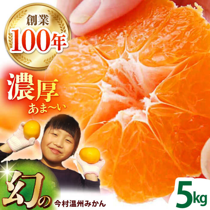 【2月〜3月発送】幻のみかん タッチの甘熟 今村温州みかん 5kg 【夢の甘熟みかん タッチ】[HCE002] / 食品 フルーツ・果物 みかん 佐賀みかん 温州みかん フルーツ 果物 熟成 濃厚 甘い 佐賀県 佐賀 送料無料 先行予約 先行受付