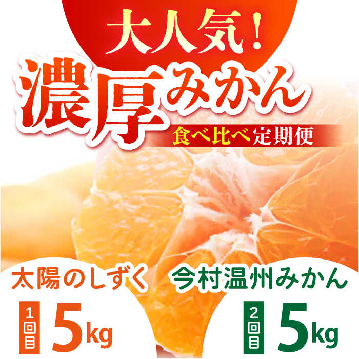 【ふるさと納税】【幻のみかん】みかん食べくらべ定期（太陽のしずく・今村温州みかん）【夢の甘熟みかん タッチ】[HCE003] / 食品 フルーツ・果物 みかん フルーツ 果物 ミカン 佐賀県 佐賀 温州みかん 佐賀みかん 濃厚 甘い 定期便 セット 食べ比べ 食べくらべ サムネイル2