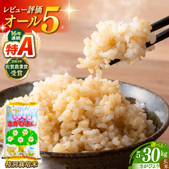 【選べる容量】令和7年産 特別栽培米 さがびより 玄米 （ 5kg / 10kg / 30kg ) 【ももさき農産】 [HCG004] / 食品 米 玄米 一等米 一等 特栽 特別栽培 佐賀県産 佐賀県 送料無料