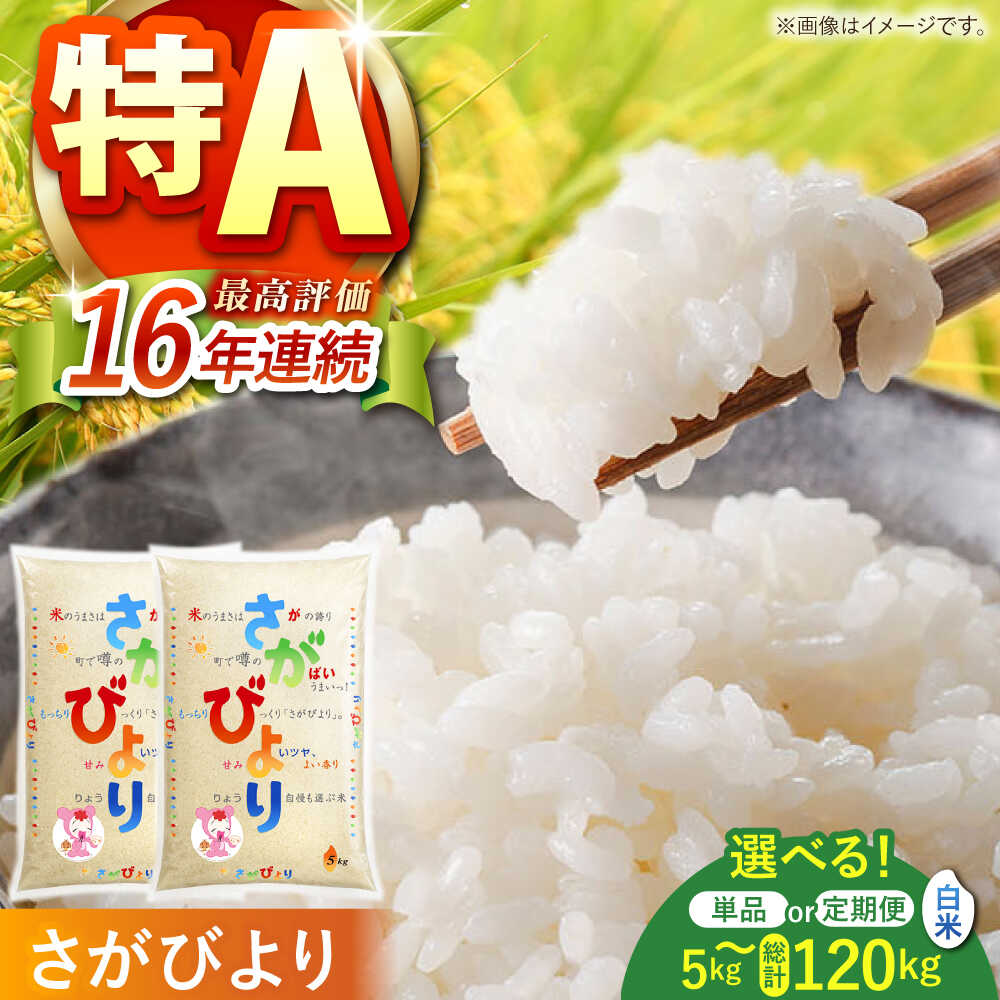 白米 令和7年産 さがびより 5kg / 10kg（5kg×2袋）【株式会社 JA食糧さが】 [HCM001] / お米 ごはん 白米 精米 ブランド米 お取り寄せ 国産 佐賀県 江北町 九州 米 お米 おいしい ランキング 人気 国産 佐賀県産 単品 定期便