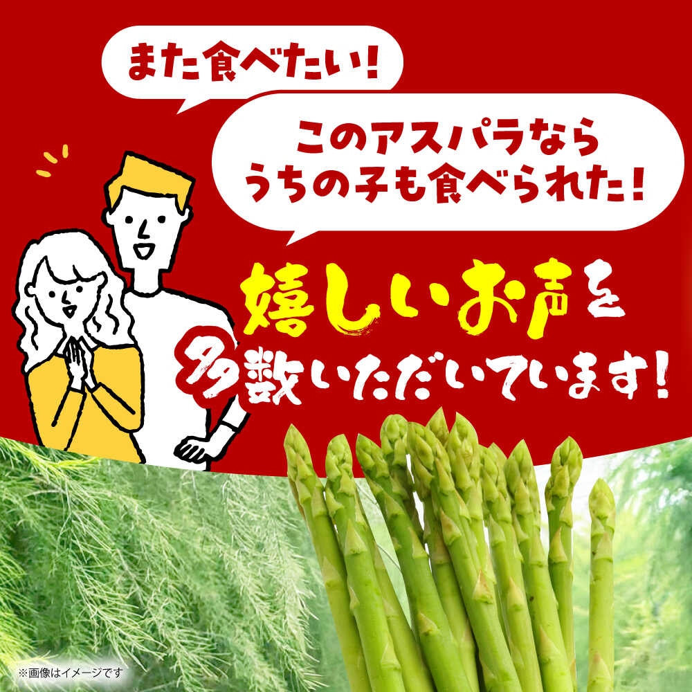 【ふるさと納税】【3~8月発送】 アスパラ 700g（S〜Mサイズ） 【えぐちファーム】[HDE001] / 食品 野菜 アスパラガス あすぱら あすぱらがす 春芽 夏芽 - 画像2