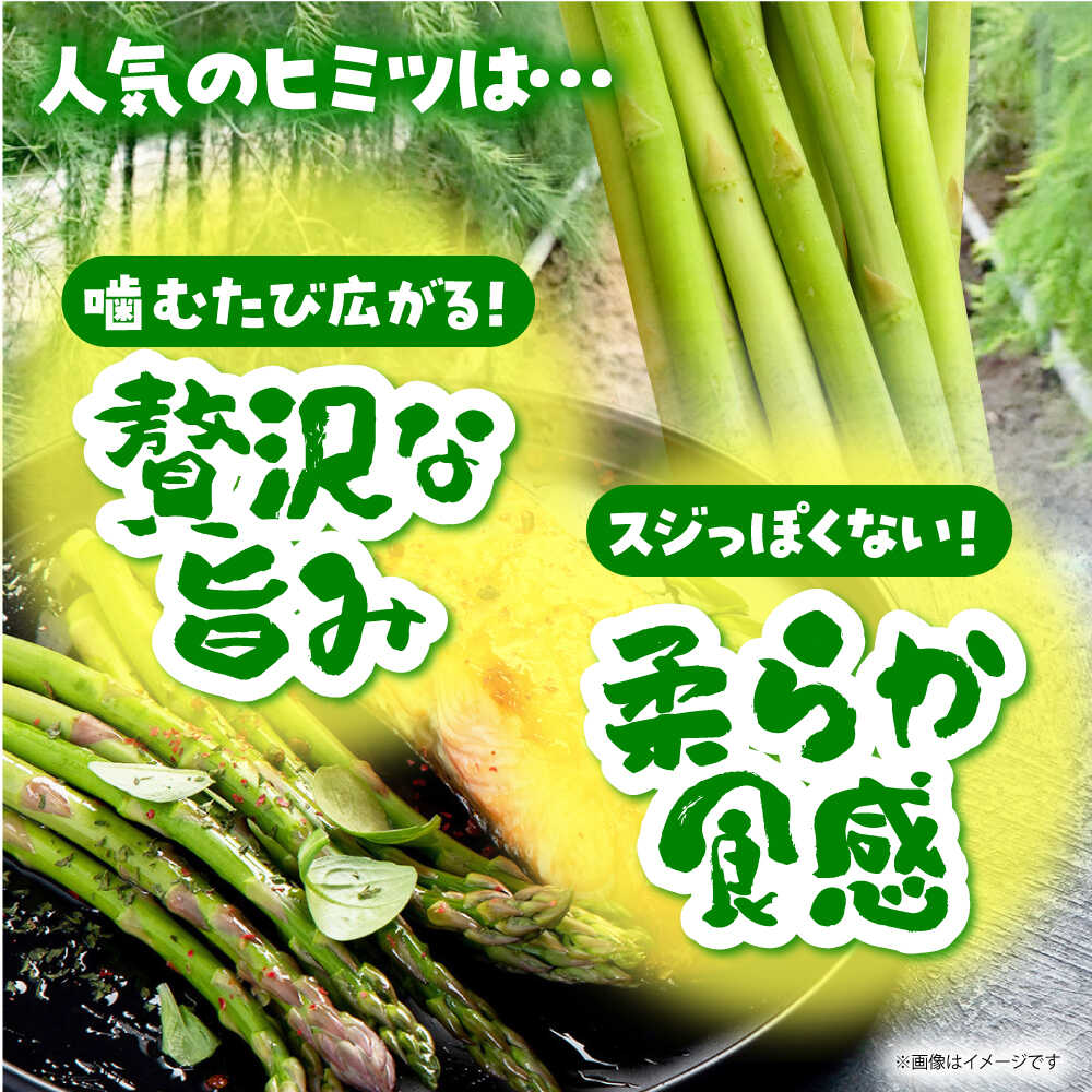 【ふるさと納税】【3~8月発送】 アスパラ 700g（S〜Mサイズ） 【えぐちファーム】[HDE001] / 食品 野菜 アスパラガス あすぱら あすぱらがす 春芽 夏芽 - 画像3