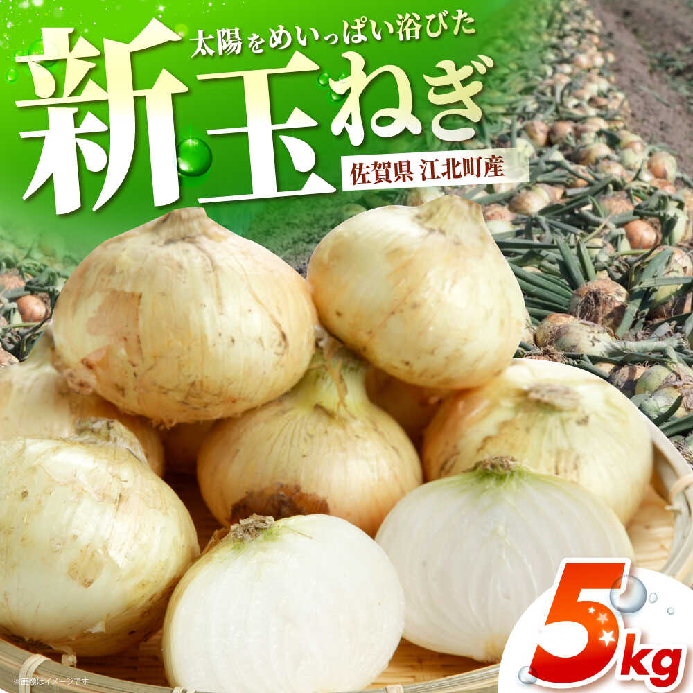 【先行予約】 新玉ねぎ 5kg 【吉祥】[HDG015]