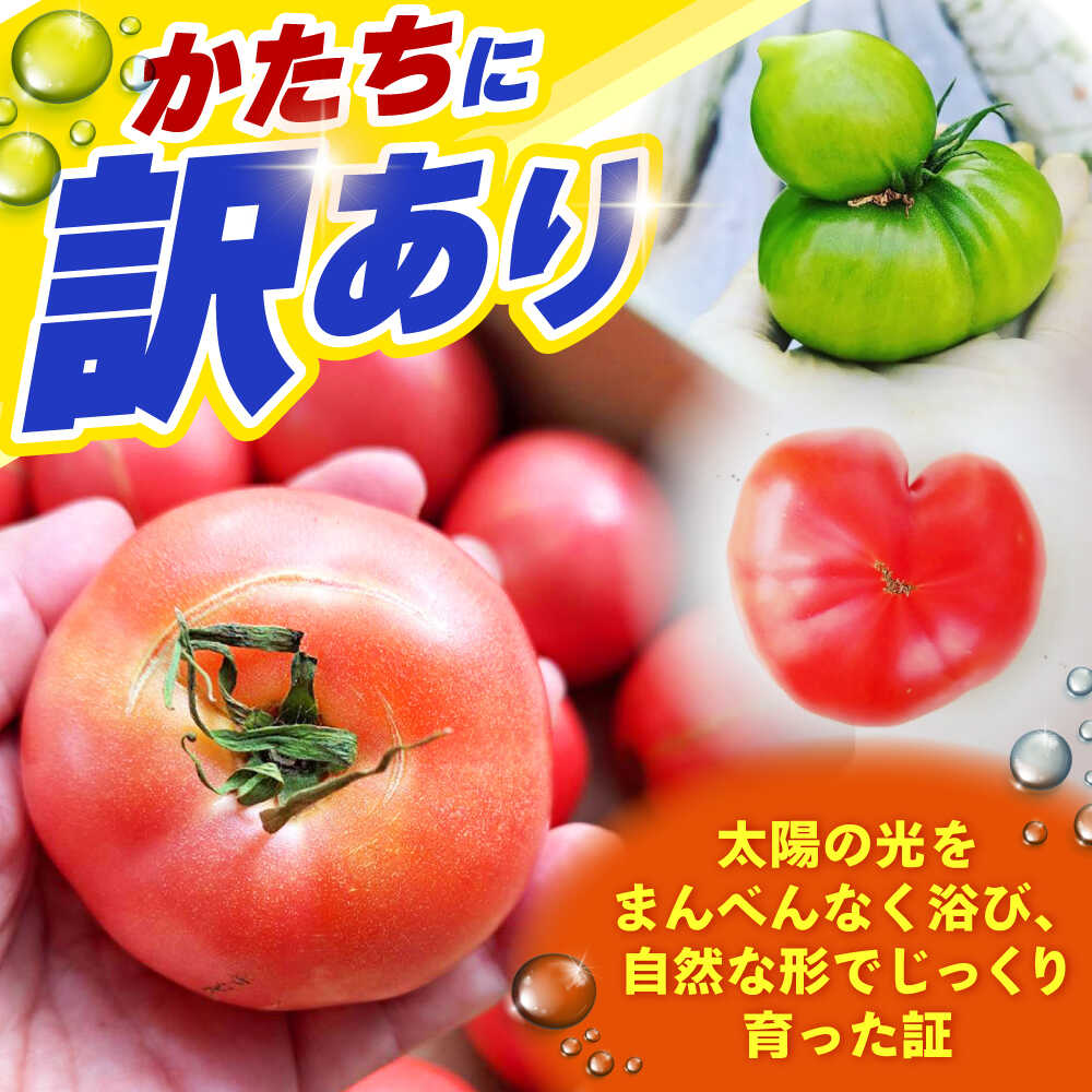 【ふるさと納税】【1〜4月発送】 訳あり トマト （カレン） 2kg 【にしやまファーム】[HDI001] - 画像2
