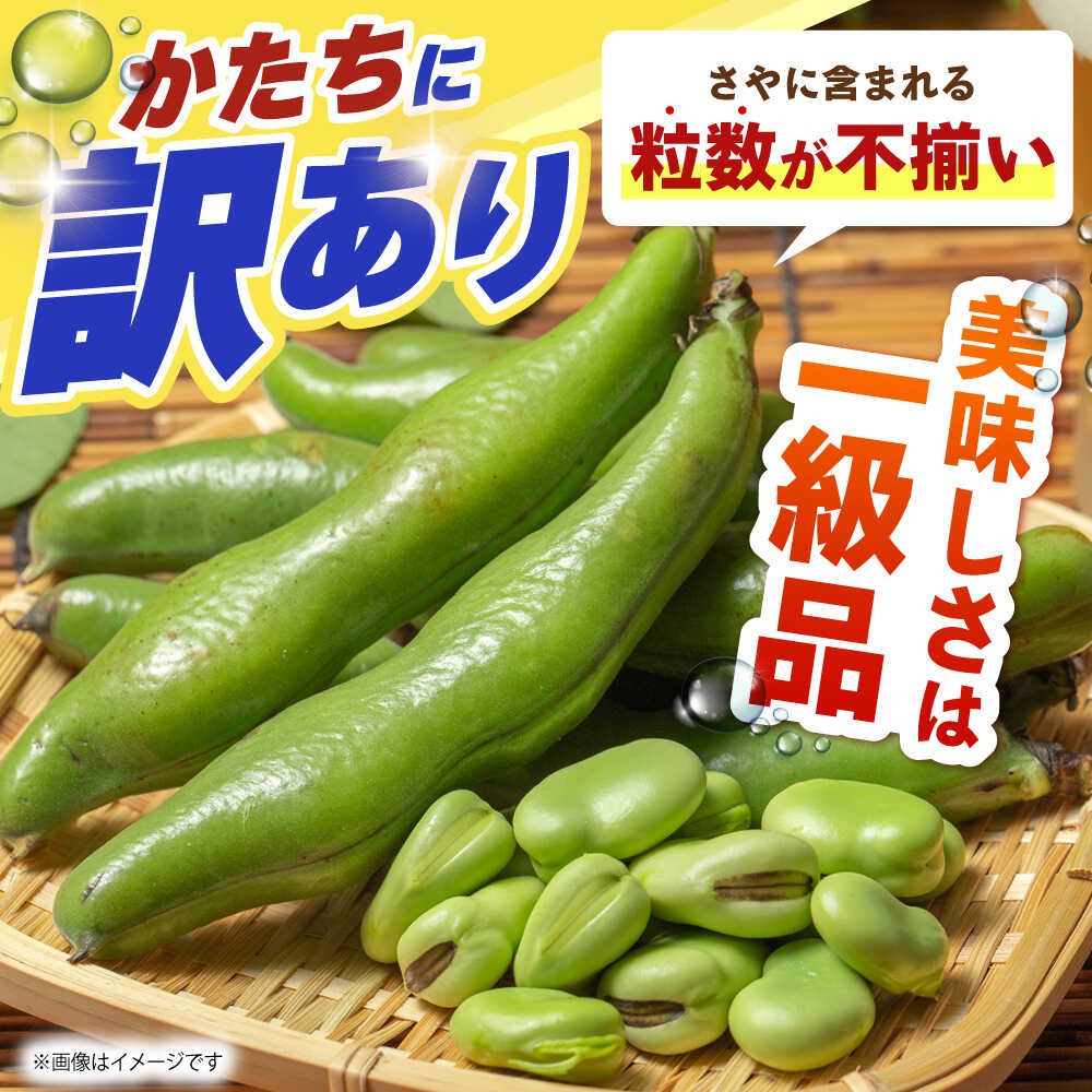【ふるさと納税】【朝採れ】 訳あり 生そら豆 2.5kg 【にしやまファーム】 新物 さや付き そら豆[HDI002] - 画像2
