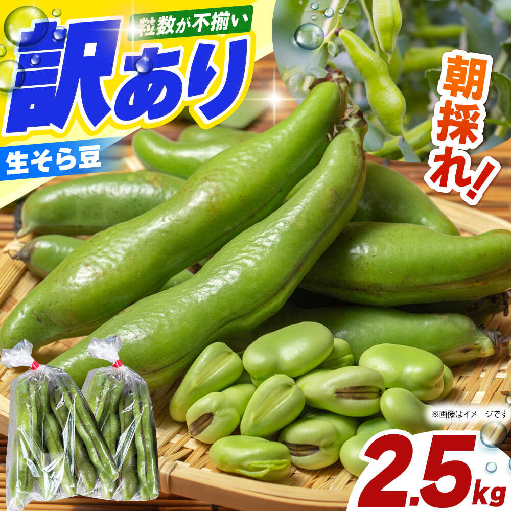 【朝採れ】 訳あり 生そら豆 2.5kg 【にしやまファーム】 新物 さや付き そら豆[HDI002]