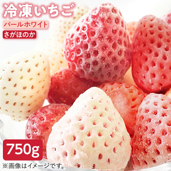 【先行予約】 冷凍いちご(さがほのか・パールホワイト) 750g 2種の食べ比べセット 【ハヤシダファーム】 ジャム シロップ スムージー 冷凍 イチゴ 苺 果物 くだもの フルーツ 冷凍果実 冷凍フルーツ 佐賀県 白石町 [IAQ001]