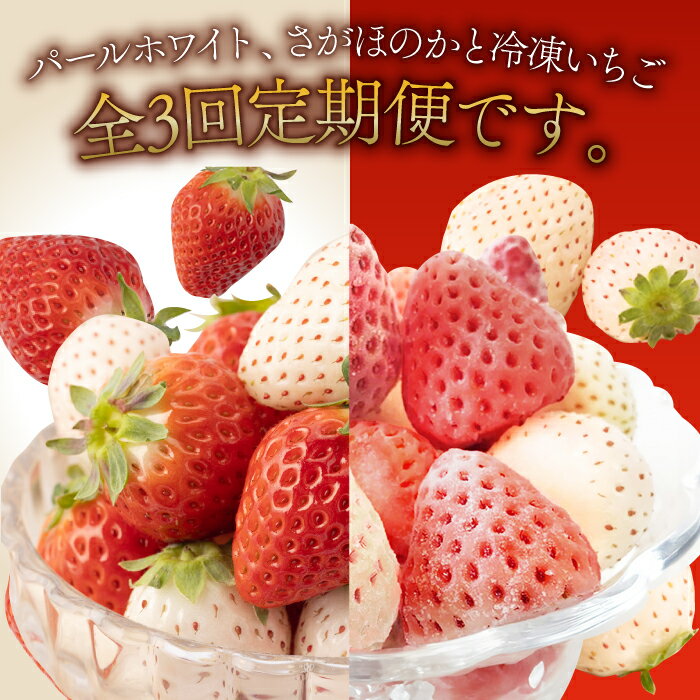 【ふるさと納税】【R8年3月以降発送】 【3回定期便】 希少白いちご パールホワイト・さがほのか・冷凍いちご【ハヤシダファーム】 イチゴ 白イチゴ 苺 果物 フルーツ 佐賀県 白石町 [IAQ010] サムネイル2