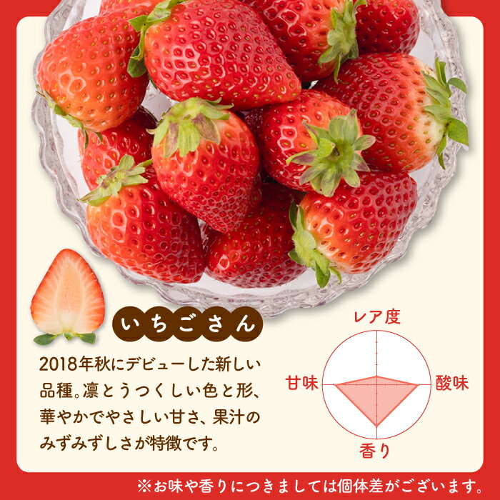 【ふるさと納税】【先行予約】【4回定期便】いちご 4品種 食べ比べ 白いちご など 希少品種 も！【岸川農園】いちご いちご定期便 さがほのか よつぼし いちごさん 淡雪 イチゴ 赤イチゴ 苺 果物 フルーツ アフターフォロー 食べ比べ 希少 佐賀県 白石町 [IAP011] サムネイル3