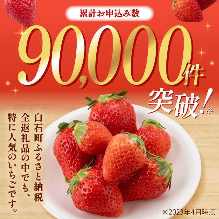 【ふるさと納税】【R8年2月以降発送】【3回定期便】白石産いちご さがほのか 約150g×6パック/回（総計2.7kg以上）【道の駅しろいしカンパニー】苺 イチゴ 赤いちご 人気 果物 フルーツ 佐賀県 白石町 [IAA031] サムネイル3