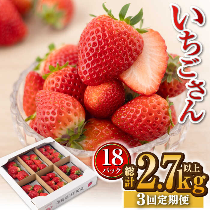 【R8年1月以降発送】【全3回定期便】白石産いちご「いちごさん」 約150g×6パック/回（総計2.7kg以上）【道の駅しろいしカンパニー】苺 イチゴ 赤いちご 人気 果物 フルーツ 佐賀県 白石町 [IAA032]