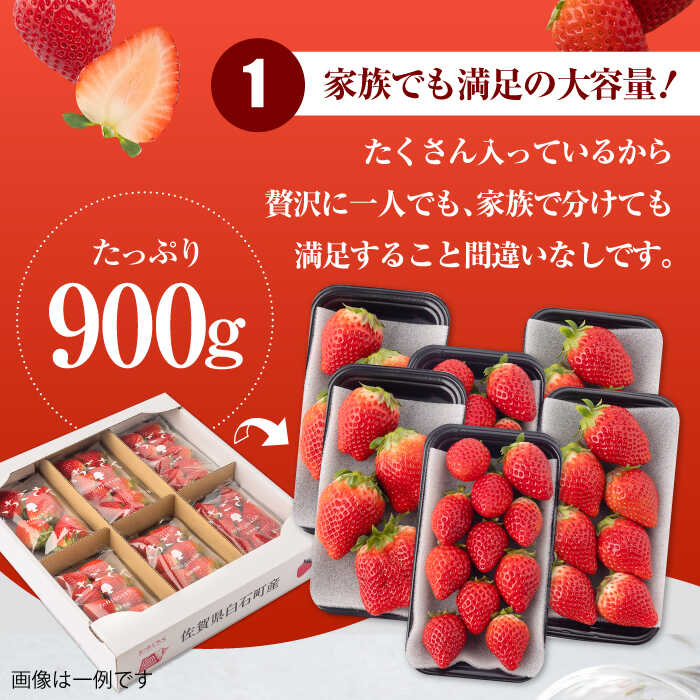 【ふるさと納税】【R8年1月以降発送】【全4回定期便】白石産 赤いちご 人気2種定期便（さがほのか＆いちごさん） 約150g×6パック/回（総計3.6kg以上）【道の駅しろいしカンパニー】苺 イチゴ 赤いちご 人気 果物 フルーツ 佐賀県 白石町 [IAA033] サムネイル3
