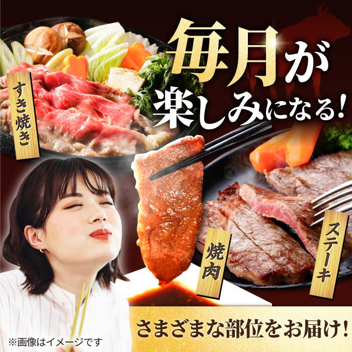 【ふるさと納税】【牧場直送】【6回定期便】佐賀県産しろいし牛 1頭まるごと定期便1【佐賀セントラル牧場】国産 肉 お肉 牛肉 冷凍 赤身 すき焼き 焼肉 ステーキ ブランド牛 サーロイン バラ 希少部位 ヒレ 定期配送 食べ比べ セット 詰め合わせ 佐賀県 白石町 [IAH032] サムネイル2