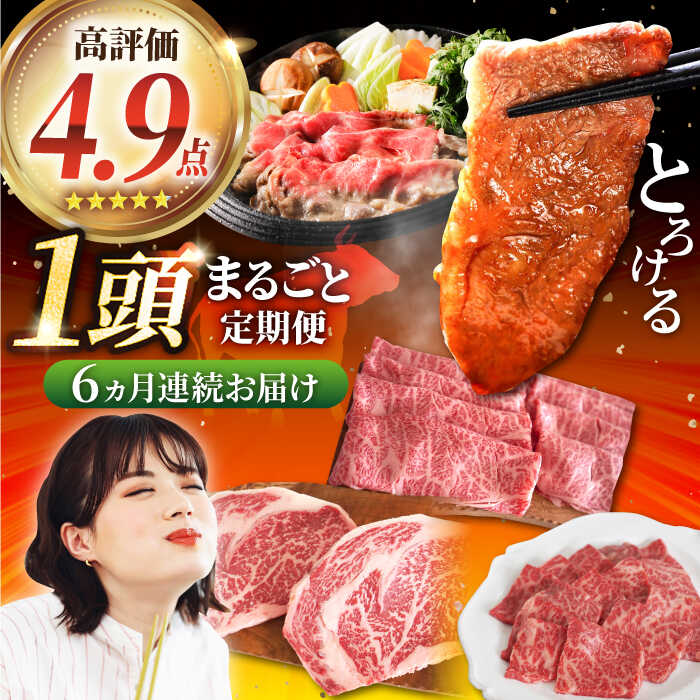 【牧場直送】【6回定期便】佐賀県産しろいし牛 1頭まるごと定期便1【佐賀セントラル牧場】国産 肉 お肉 牛肉 冷凍 赤身 すき焼き 焼肉 ステーキ ブランド牛 サーロイン バラ 希少部位 ヒレ 定期配送 食べ比べ セット 詰め合わせ 佐賀県 白石町 [IAH032]