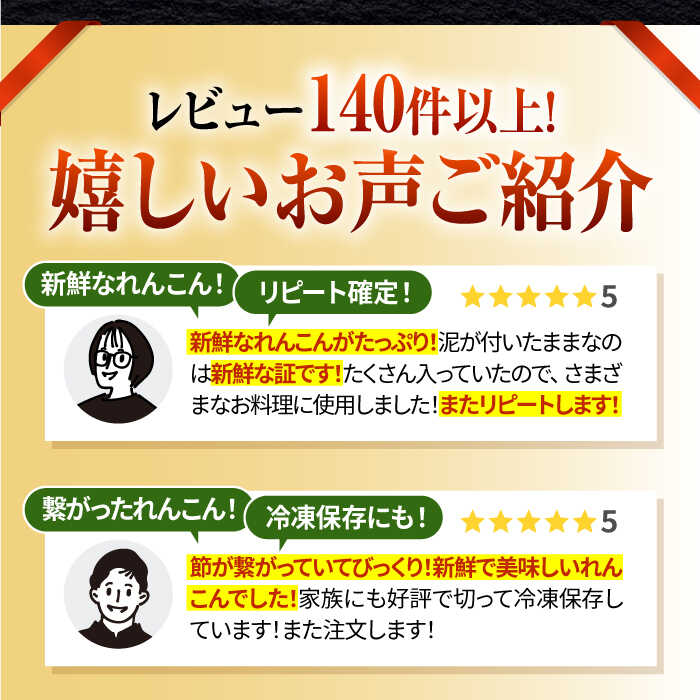 【ふるさと納税】【年内配送】白石町産 泥付きれんこん （4kg）【佐賀県農業協同組合】レンコン 蓮根 野菜 根菜 高評価 佐賀県 白石町 [IAK015] サムネイル3