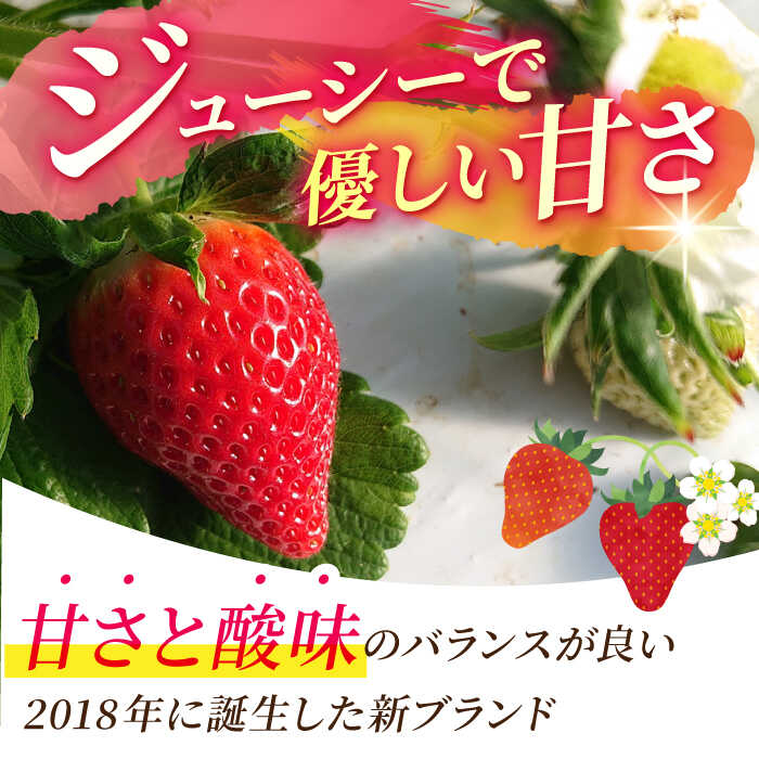 【ふるさと納税】 【R8年1月以降発送】 白石町産 いちごさん （150g×6パック） 【佐賀県農業協同組合】イチゴ 苺 大容量 果物 フルーツ 佐賀県 白石町 [IAK016] サムネイル2