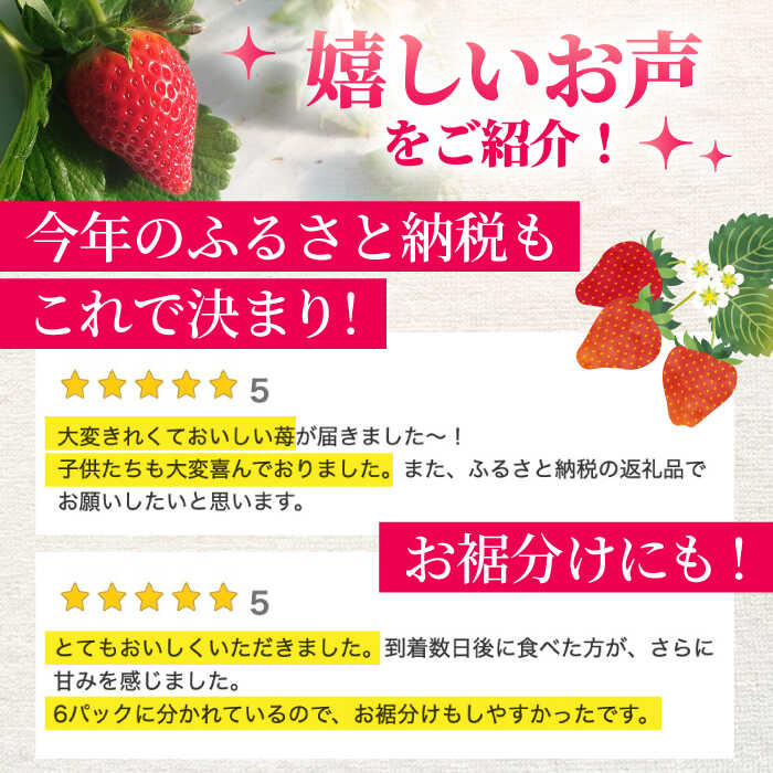 【ふるさと納税】 【R8年1月以降発送】 白石町産 いちごさん （150g×6パック） 【佐賀県農業協同組合】イチゴ 苺 大容量 果物 フルーツ 佐賀県 白石町 [IAK016] サムネイル3