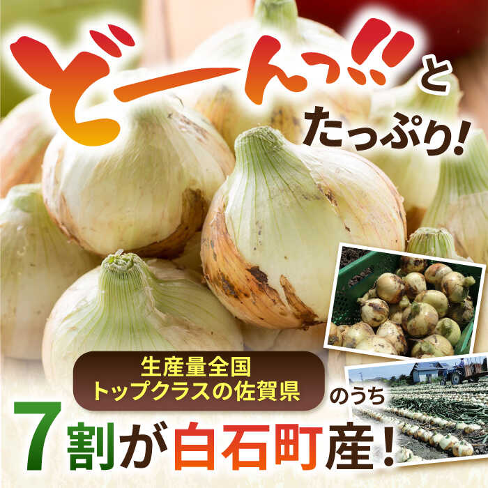 【ふるさと納税】白石産 新たまねぎ（約10kg）【佐賀県農業協同組合】玉ねぎ 玉葱 タマネギ 野菜 佐賀県 白石町 白石 [IAK017] - 画像2
