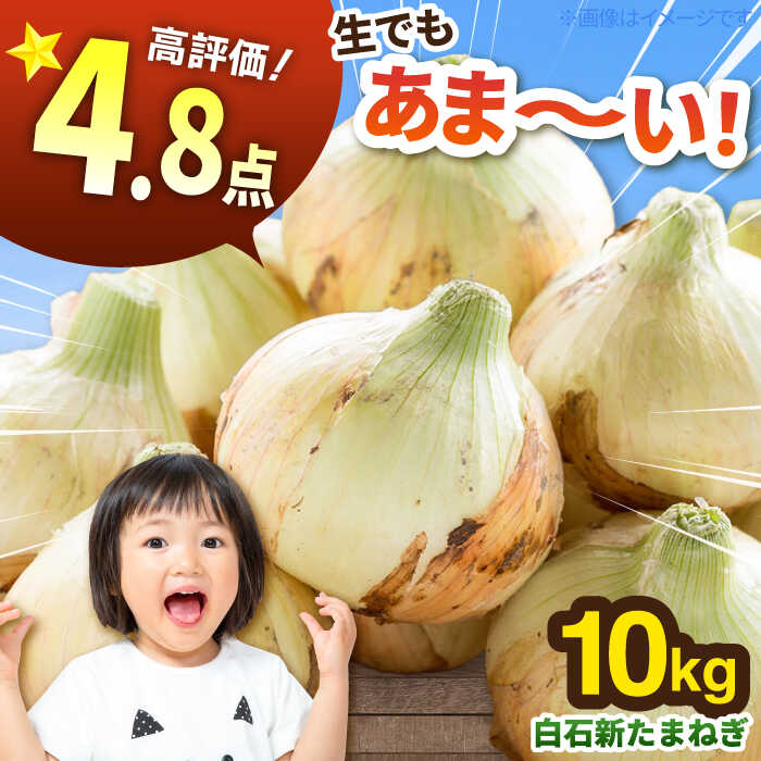 白石産 新たまねぎ（約10kg）【佐賀県農業協同組合】玉ねぎ 玉葱 タマネギ 野菜 佐賀県 白石町 白石 [IAK017]