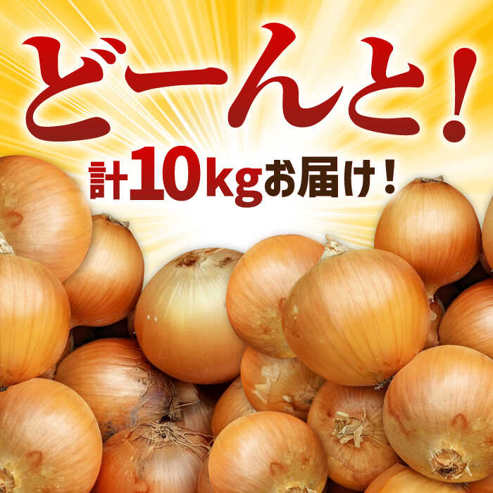 【ふるさと納税】【先行予約】 農家直送！玉葱農家のこだわり玉ねぎ 約10kg【玉葱農家 陣内ちひろ】玉葱 たまねぎ タマネギ 野菜 佐賀県 白石町 [IAO001] サムネイル2