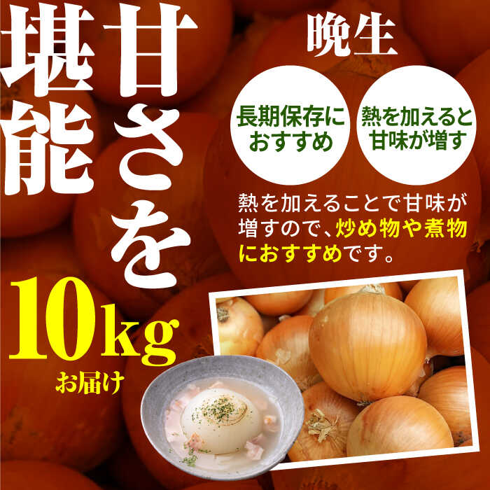 【ふるさと納税】【先行予約】 農家直送！玉葱農家のこだわり玉ねぎ 約10kg【玉葱農家 陣内ちひろ】玉葱 たまねぎ タマネギ 野菜 佐賀県 白石町 [IAO001] サムネイル3