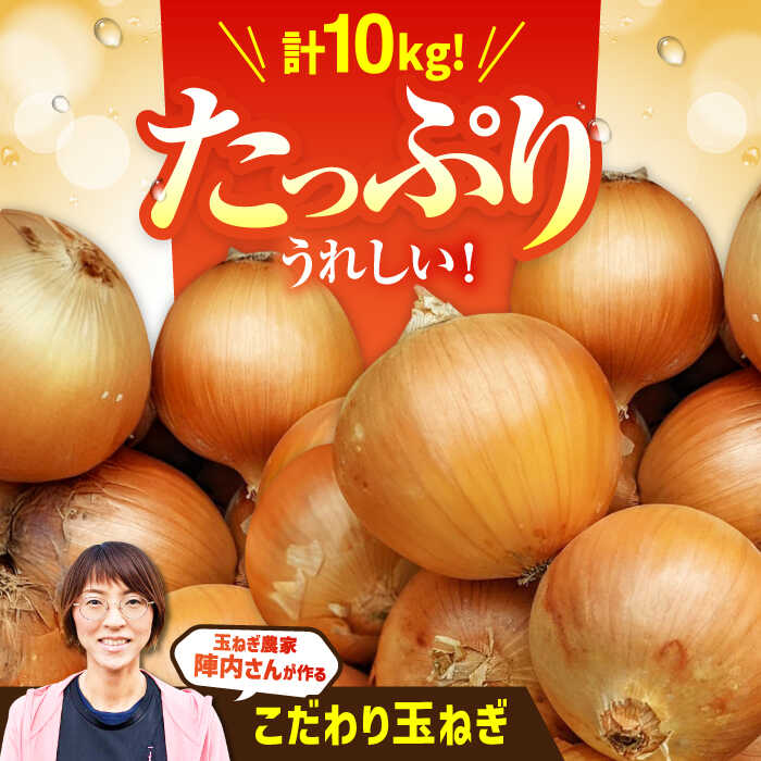 【先行予約】 農家直送！玉葱農家のこだわり玉ねぎ 約10kg【玉葱農家 陣内ちひろ】玉葱 たまねぎ タマネギ 野菜 佐賀県 白石町 [IAO001]