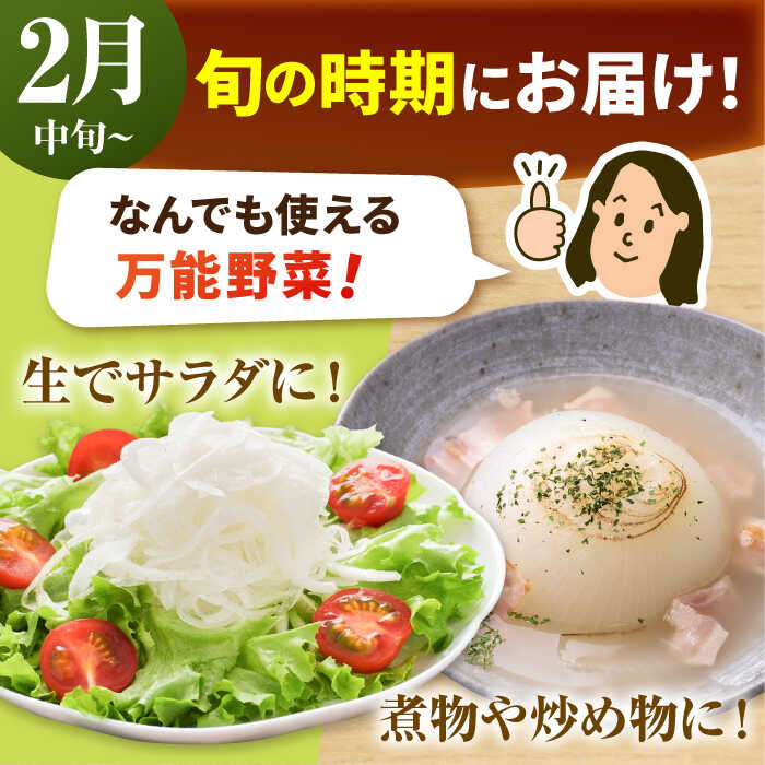 【ふるさと納税】【2026年2月中旬以降発送】【農家直送！】 玉葱農家のこだわり 新玉ねぎ 約5kg【玉葱農家 陣内ちひろ】 新たまねぎ 新玉葱 タマネギ 佐賀県 白石町 白石 [IAO009] - 画像3