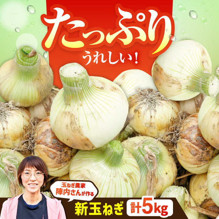 【先行予約】【農家直送！】 玉葱農家のこだわり 新玉ねぎ 約5kg【玉葱農家 陣内ちひろ】 新たまねぎ 新玉葱 タマネギ 佐賀県 白石町 [IAO009]