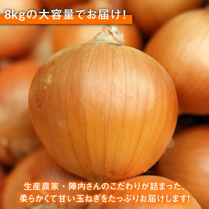 【ふるさと納税】【2026年5月下旬以降発送】小分けがうれしい！玉葱農家のこだわり 玉ねぎ 約8kg以上（8〜12袋）【玉葱農家 陣内ちひろ】 玉葱 たまねぎ タマネギ 小分け 袋入り 佐賀県 白石町 白石 [IAO020] - 画像2