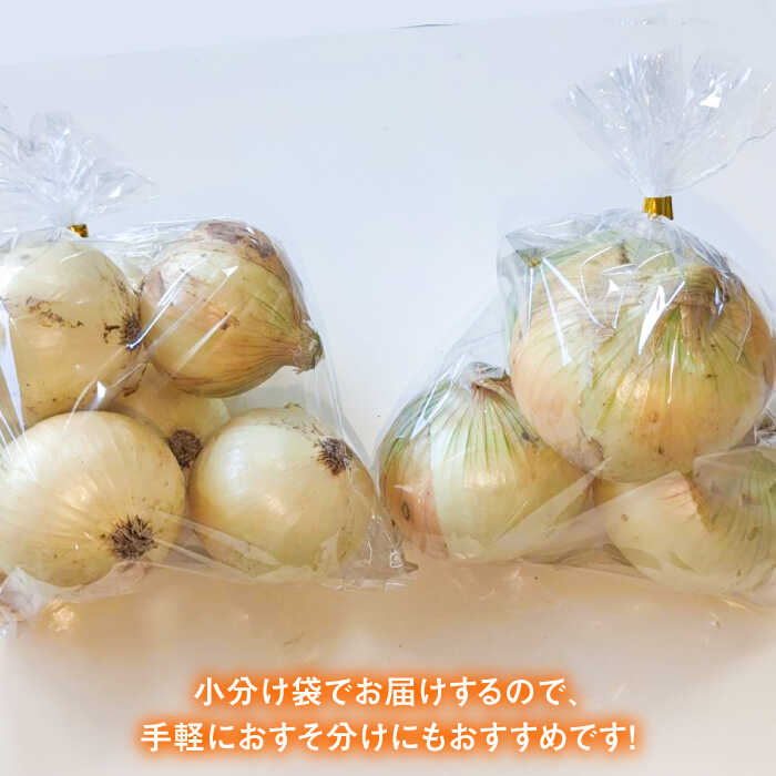 【ふるさと納税】【2026年5月下旬以降発送】小分けがうれしい！玉葱農家のこだわり 玉ねぎ 約8kg以上（8〜12袋）【玉葱農家 陣内ちひろ】 玉葱 たまねぎ タマネギ 小分け 袋入り 佐賀県 白石町 白石 [IAO020] - 画像3