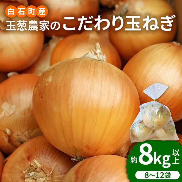 【2026年5月下旬以降発送】小分けがうれしい！玉葱農家のこだわり 玉ねぎ 約8kg以上（8〜12袋）【玉葱農家 陣内ちひろ】 玉葱 たまねぎ タマネギ 小分け 袋入り 佐賀県 白石町 白石 [IAO020]