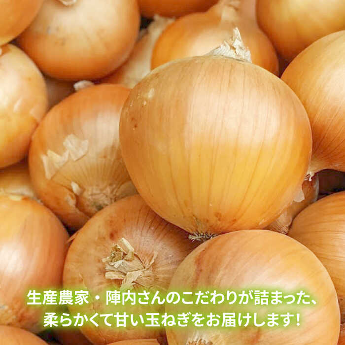 【ふるさと納税】【2026年5月下旬以降発送】晩生玉葱 4kg と 選べるおかず 2種 セット【玉葱農家 陣内ちひろ】玉葱 たまねぎ 新玉ねぎ タマネギ 惣菜 加工品 佐賀県 白石町 白石 [IAO025] - 画像3