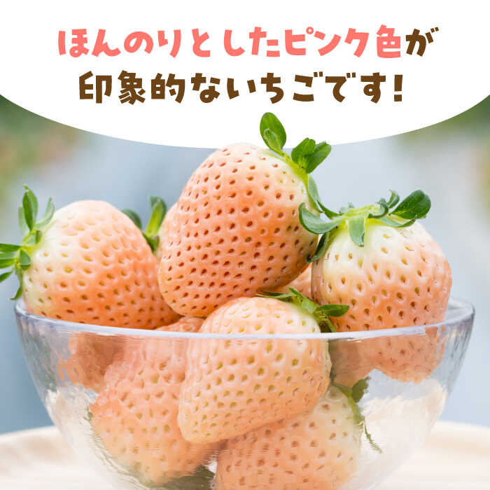 【ふるさと納税】【先行予約】【農家直送】ほんのりピンクな白いちご希少「淡雪」（化粧箱入り400g）【岸川農園】イチゴ 白イチゴ 苺 果物 フルーツ 佐賀県 白石町 [IAP004] サムネイル2