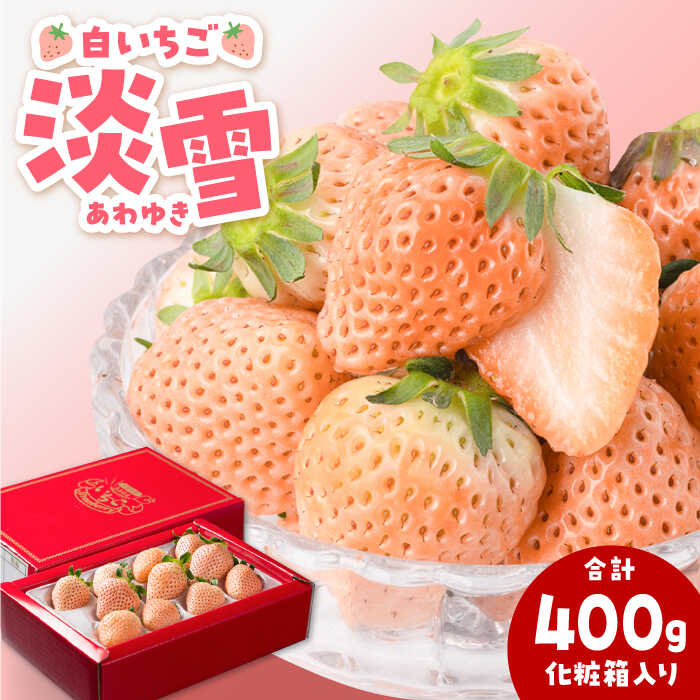 【先行予約】【農家直送】ほんのりピンクな白いちご希少「淡雪」（化粧箱入り400g）【岸川農園】イチゴ 白イチゴ 苺 果物 フルーツ 佐賀県 白石町 [IAP004]