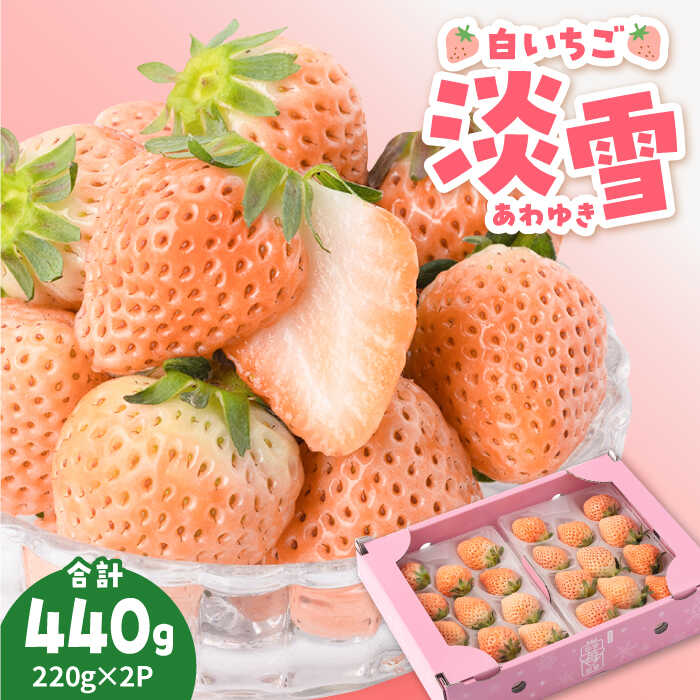 【先行予約】【農家直送】ほんのりピンク白いちご希少な「淡雪」220g×2パック【岸川農園】イチゴ 白イチゴ 苺 果物 フルーツ 佐賀県 白石町 [IAP005]