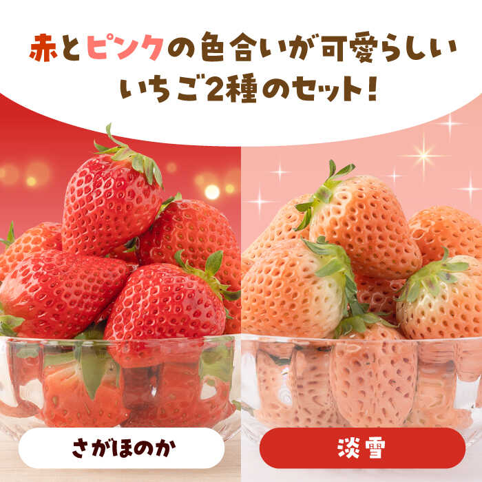 【ふるさと納税】【先行予約】【農家直送】淡雪＆さがほのか赤白いちごセット各220g【岸川農園】イチゴ 白イチゴ 苺 果物 フルーツ 佐賀県 白石町 [IAP007] サムネイル2