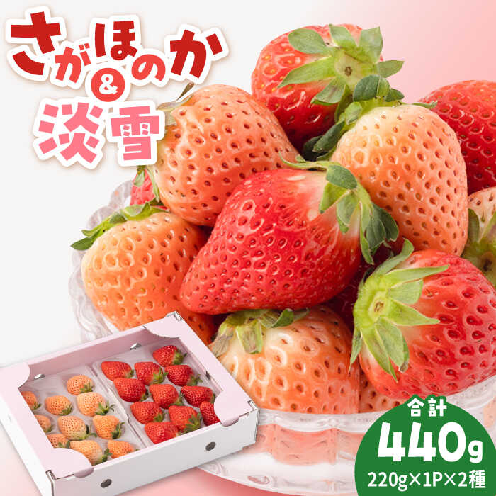 【先行予約】【農家直送】淡雪＆さがほのか赤白いちごセット各220g【岸川農園】イチゴ 白イチゴ 苺 果物 フルーツ 佐賀県 白石町 [IAP007]