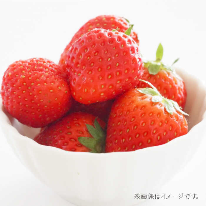 【ふるさと納税】【先行予約】その美味しさ四つ星級！新品種「よつぼし」220g×2パック【岸川農園】いちご イチゴ 苺 果物 フルーツ 佐賀県 白石町 [IAP009] サムネイル3