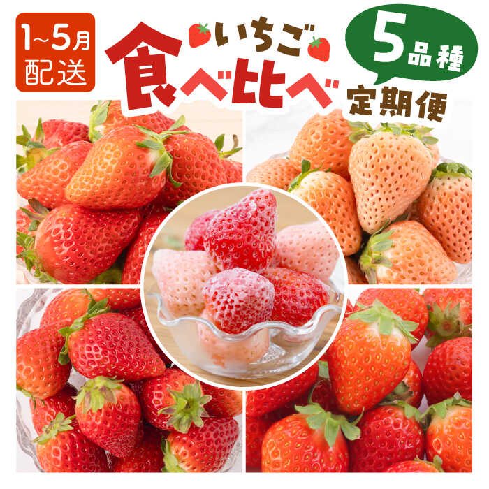 【R8年1月以降発送】【5回定期便】いちご 5品種 食べ比べ 白いちご など 希少品種 も！【岸川農園】いちごさん よつぼし 淡雪 さがほのか 冷凍いちご イチゴ 苺 果物 フルーツ 定期便 旬 食べ比べ 希少 [IAP010]